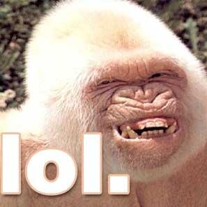The LOL man. I make you LOL. Some tweets may not be suitable for those without a sense of humour. #lol