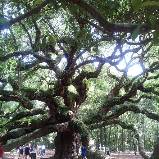 waltinman's profile picture. Real, nothing more, nothing less.