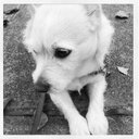 Danielle Harms - @DanielleHarms1 - Twitter