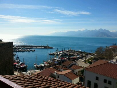 serdarsamagan1's profile picture. 