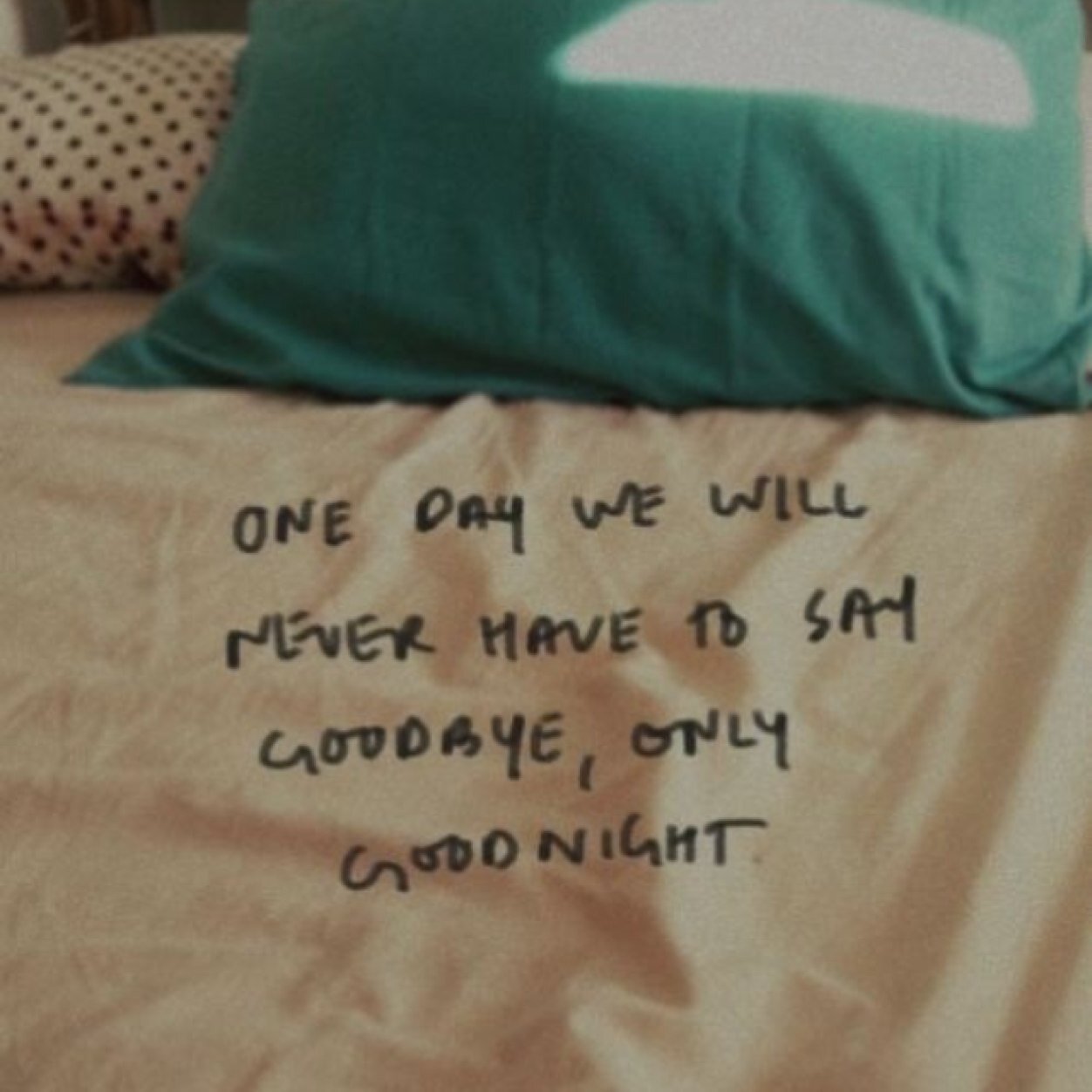 larottimangia's profile picture. 