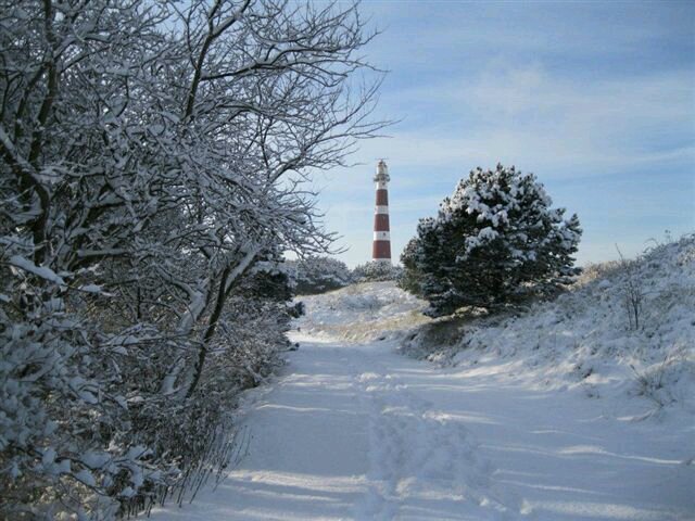 swiebertje111's profile picture. 