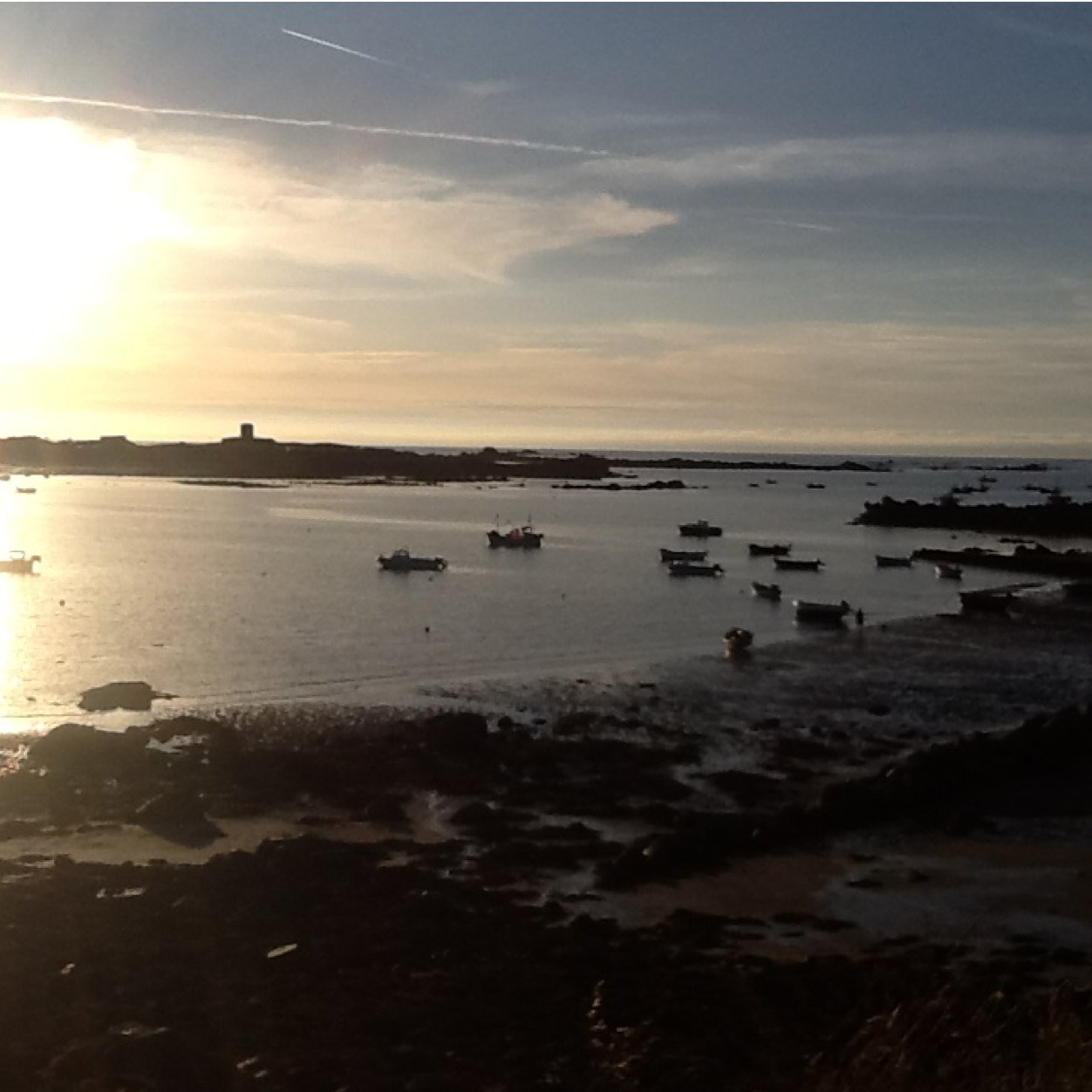 Greyguerngirl's profile picture. 