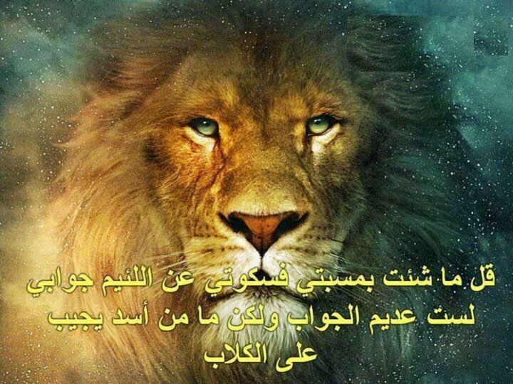 _moneef20142002's profile picture. اللهم ارزقني الجنه واعتقنا من النار ان عذابها كان غراما وحسن خاتمتي