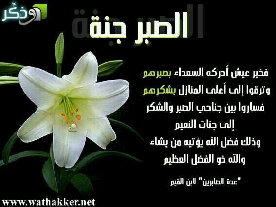كل مافاتك من الدنيا خيرٌ لك وانت لاتعلم لأن حلالها حسابٌ وحرامها عقاب!!