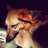 Shondculpepper's profile image