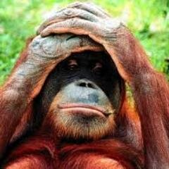 NeRozAMs's profile picture. 