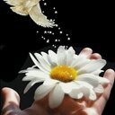 عازف الليل (@0557300640a97) Twitter
