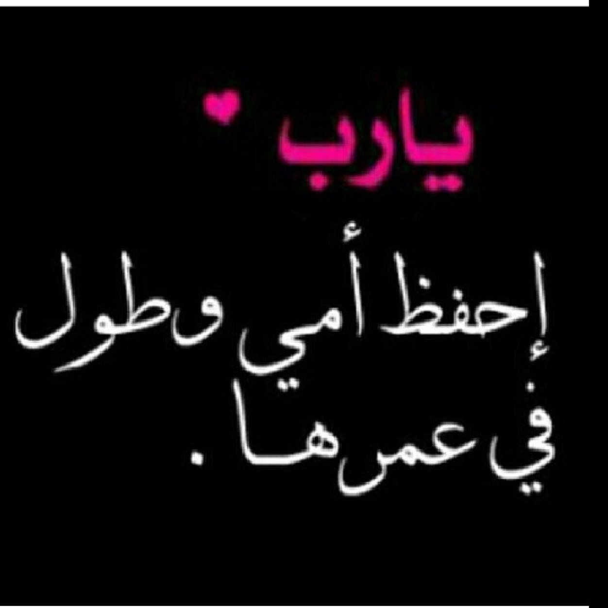 mesh2025's profile picture. 