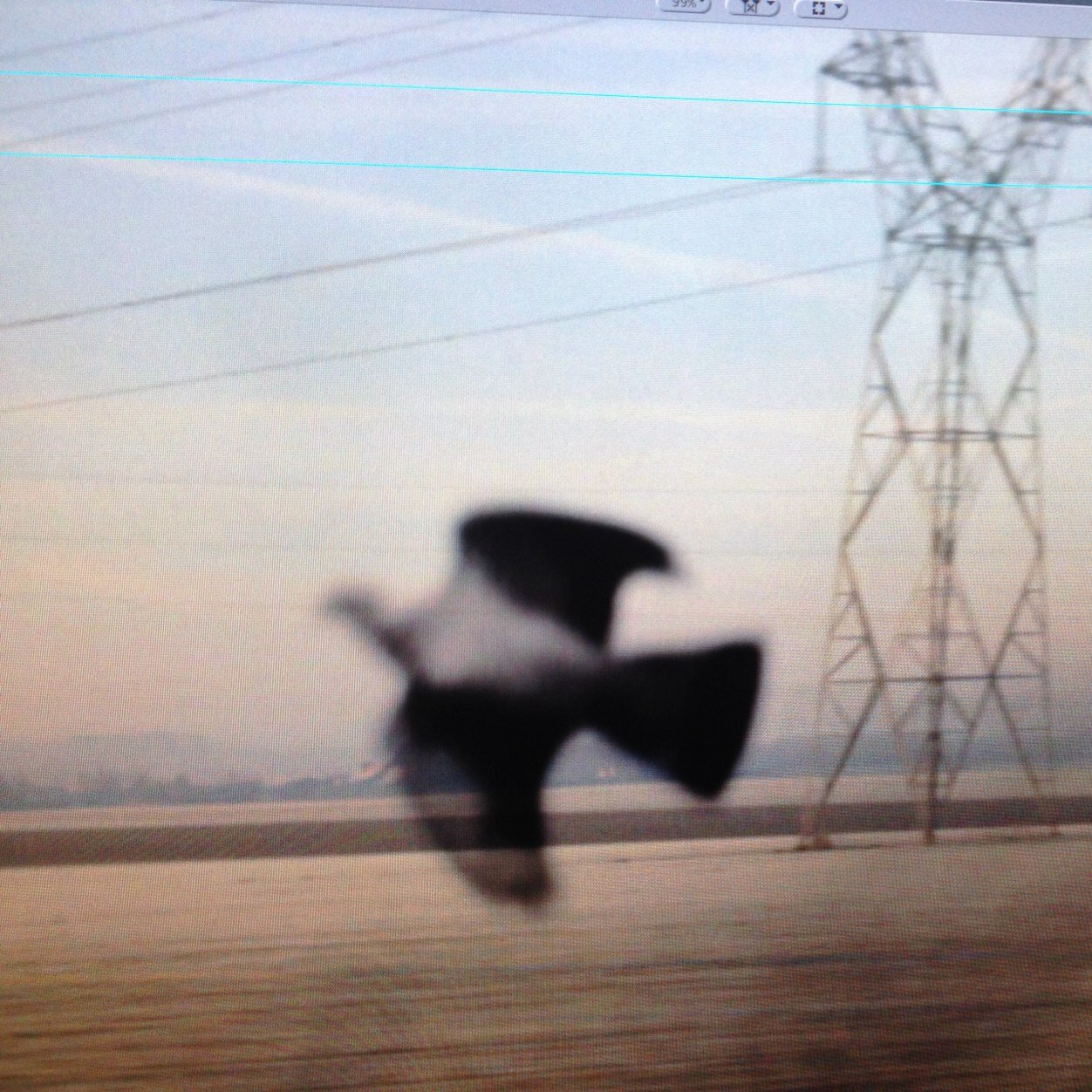 insofar_media's profile picture. insofar media: freedom of speech, freedom of expression & freedom of information.