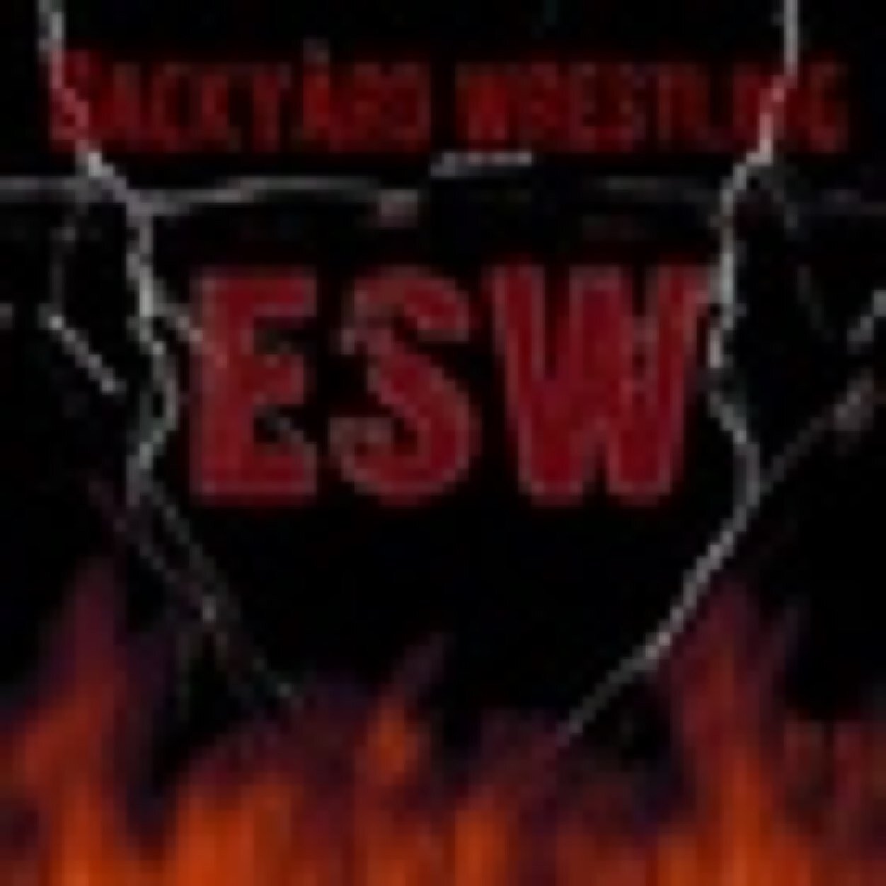 ESWNightrider's profile picture. I'm gonna be the ESW champ even if I gotta kick Andrews ass or even fucking DJ I'm gonna win and that's the bottom line cuz the viper said so