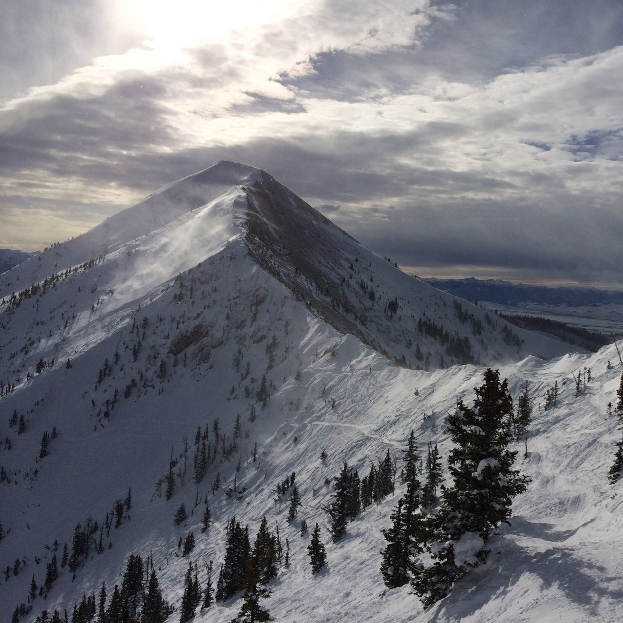 bgkrueger's profile picture. optimism, urban planning