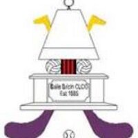 Ballybricken Bohermore GAA (@ballybgaa) 's Twitter Profile Photo Ballybricken Bohermore GAA (@ballybgaa) 's Twitter Profile Photo