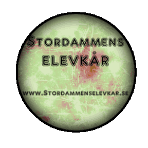 StordammensElkr's profile picture. 