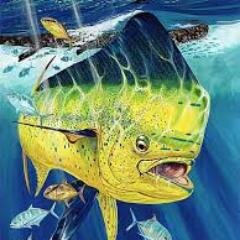 chrishoffmann12's profile picture. cod player xbox one gt: NoMore REBEL insta:chevyboy_931 add me on both message to play on cod