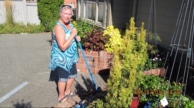 nanaCorinne's profile picture. 