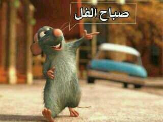 amtoto777's profile picture. 