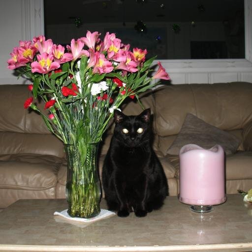 LmvanOK's profile picture. “Feel good, be good, and do good.” - Yogi Bhajan