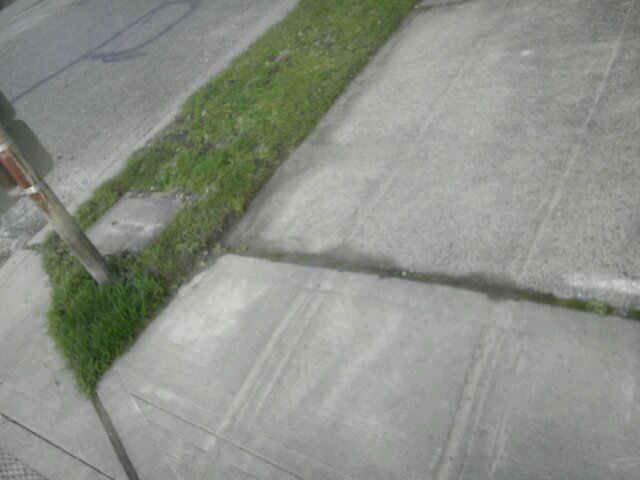 SeattleWalking's profile picture. I walk, ride mass transit, and yell at cars.