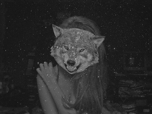 Wolves. *-*