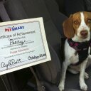 John Pingel - @JPingelJR - Twitter