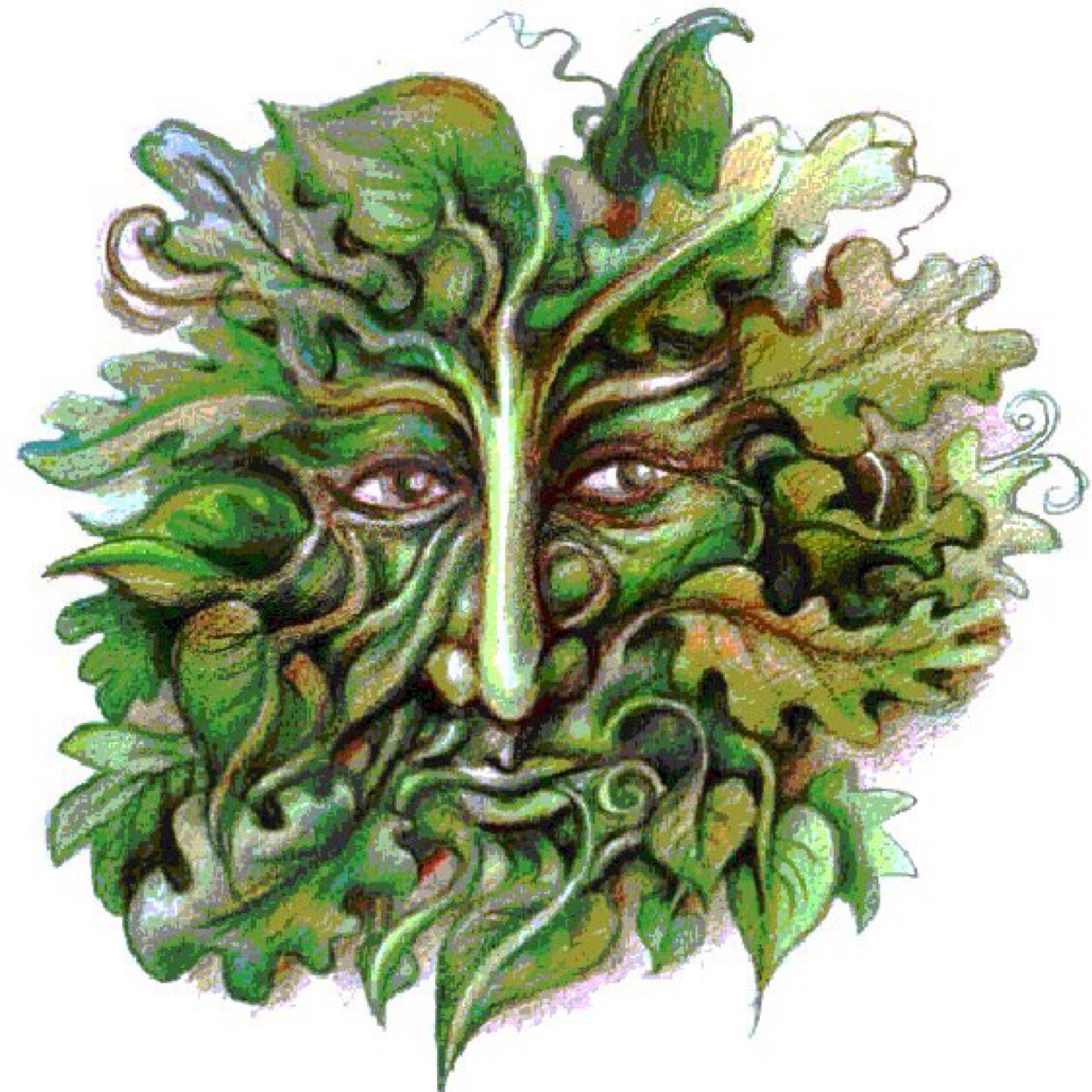 Part time Green Man hunter and amateur Dry Stone Waller, Rugby fan, both codes.