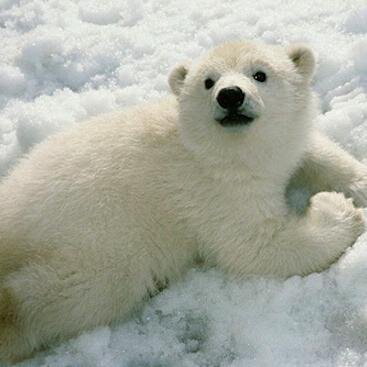 Let's procrastinate together. Sharing awesome images & stories from around the world.