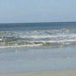 alwaystarheels's profile picture. teacher