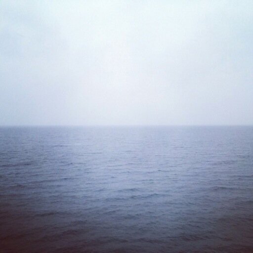 _thewhitewhale_'s profile picture. 