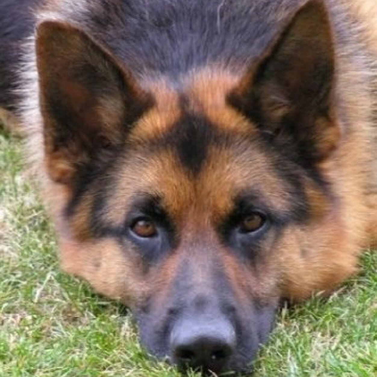 TeomanUlas's profile picture. Tıp Doktoru, sağlık, ilaç ve tıbbi cihaz hukuku uzmanı,gezgin, canlısever, SHU Law -Hukuk NJ USA - MSJ, MD, Traveler, Photographer, Lisboa Portugal