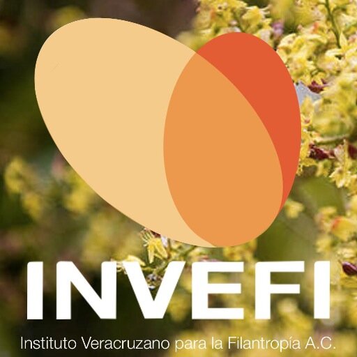 El Instituto Veracruzano para la Filantropía, es una AC encargada de brindar profesionalización a los Organismos de la Sociedad Civil.
