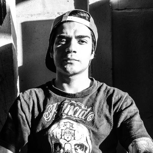 Life Style, Skate and Destroy, #VamosUE Hincha de Unión Española, #DogLover, Hereje, Misántropo.