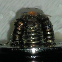 Gus Raspin (@bb_vaper) 's Twitter Profile Photo