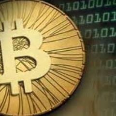 CryptoPumps100's profile picture. Crypto pump group for new investors NO dumpers-just slow pumps.