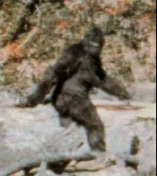 The United States Cryptid Research Organization