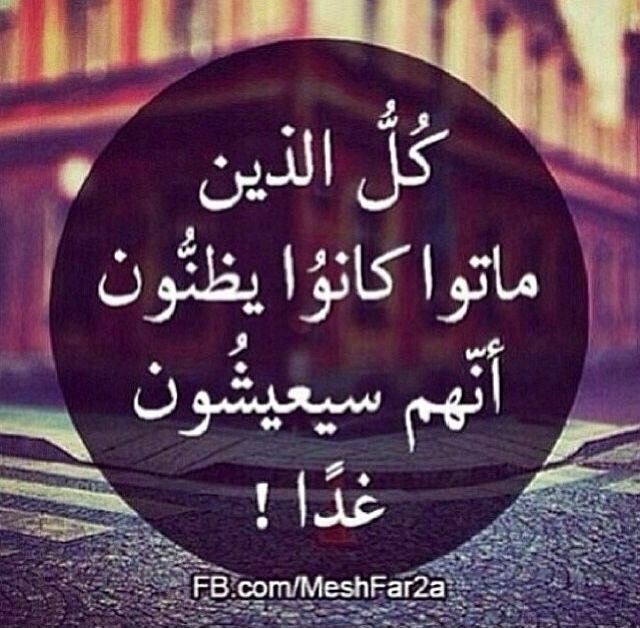 مُعلمة 👩🏻‍🏫 أحب القرآن وأهله 🥰 🌸 اللهم يا مقلب القلوب والأبصار ثبت قلوبنا على دينك 🤍 #فلسطين_عربية #التطبيع_خيانة✌🏻🇵🇸