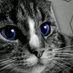 山田小五郎太 (@ogorouta) Twitter profile photo