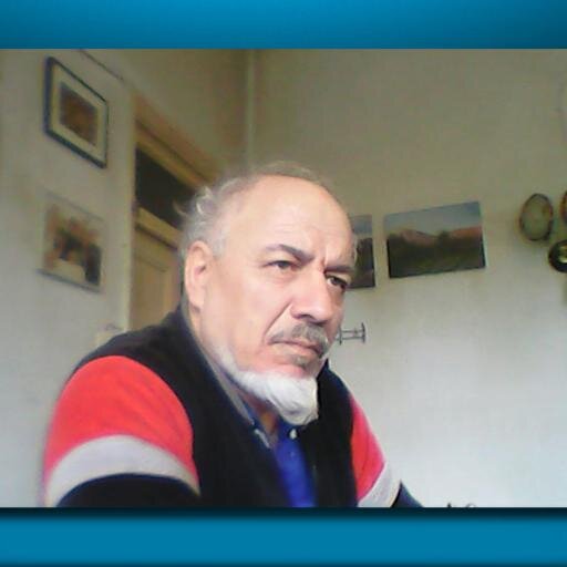 Türkçe üzre dilçi