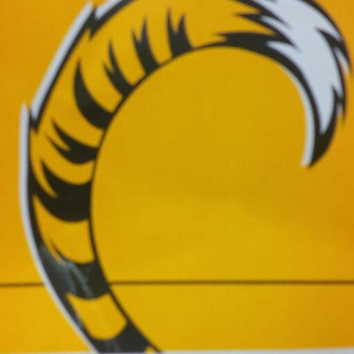 GTGuelph's profile picture. 