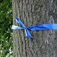 Stafford Hosp News (@sdghnewsletter) 's Twitter Profile Photo Stafford Hosp News (@sdghnewsletter) 's Twitter Profile Photo