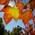 HRick_photo (@hrick_photo) Twitter profile photo