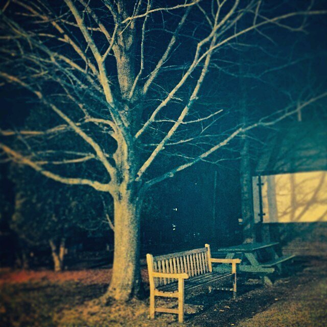 fafafa5051's profile picture. راضيه عن نفسي ومايهمني رضا أحد &&سو فولو وانت ساكت