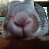 みき (@20070624miki) 's Twitter Profile
