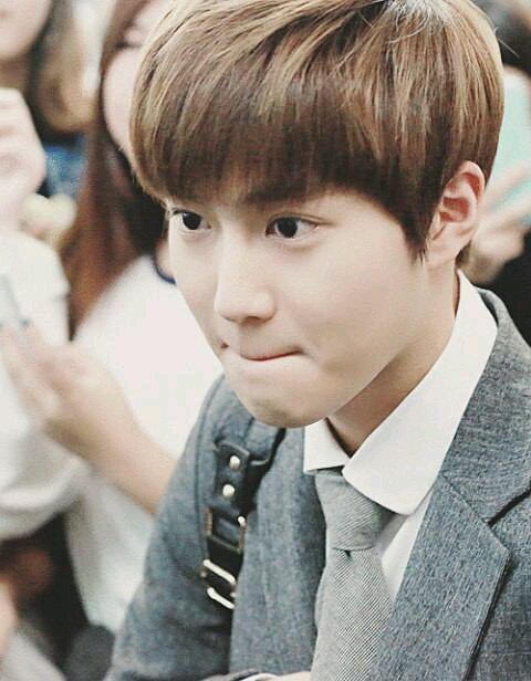 EXO Suho bot…                                                                           follow⇒@   bye⇒block