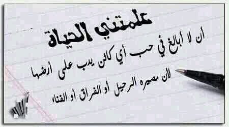 spt884's profile picture. 