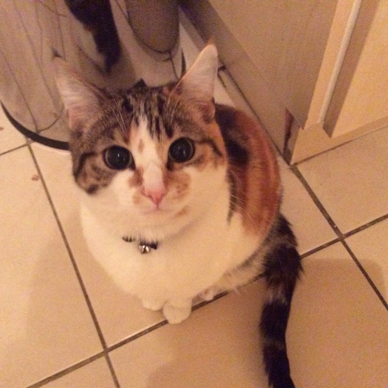 keithnuneaton's profile picture. 