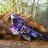 Hough250's profile image