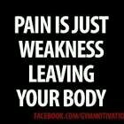 AoOfarrell's profile picture. 