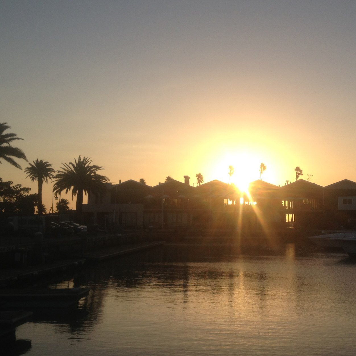 shazziewulzie's profile picture. 