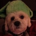 marlene sweeney - @munitys - Twitter